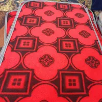 پادری دم دری