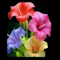 گلکاری،فضا سبز،هرس کاری،سم پاشی