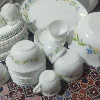 آرکوپال اماراتی