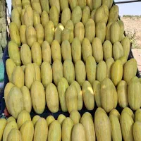 شاگرد میوه فروشی شیفت شب