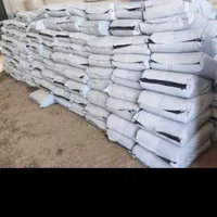 ذرت علوفه ای