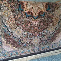 کاردر قالیشویی