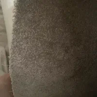 پالاز موکت