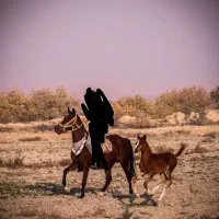 مادیون داغ دار و کره ۷ ماه