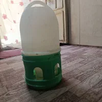 ظرف آب پرندگان
