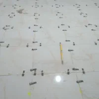کاشی کار وسرامیک کار با تجربه