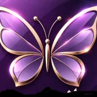 برنامه نویس سایت و اپلیکیشن اجرای پروژه اختصاصی