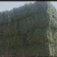 بیده دست پیچ