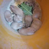 همستر فروشی