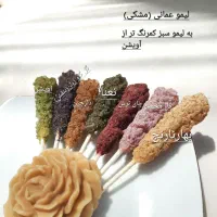نبات گیاهی