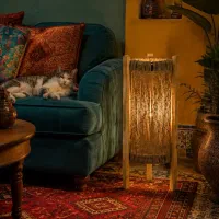 اواژور الدورادو ۱ از ۱ در دنیا