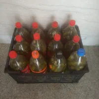 خیار شور