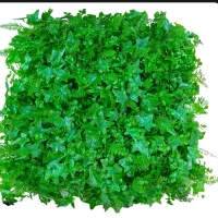 جشنواره فروش گرین وال(مدت محدود)