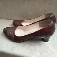 تعدادی کفش نو