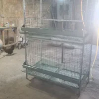 قفس مرغ