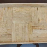 سینی پذیرایی