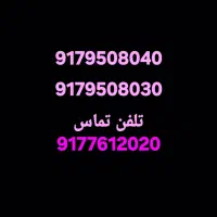 9179508040