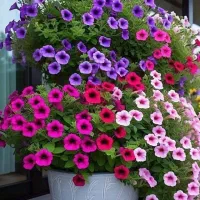 کارت هدیه وتخفیف ۱۰۷ تومنی