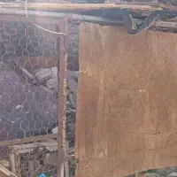 قفس بزگ|لوازم جانبی حیوانات|زابل, |دیوار