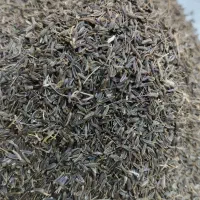 زیره سیاه کوهی
