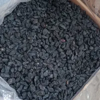 مویز بدون هسته و گوشتی