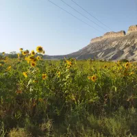 طبیعت گردی