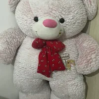 خرس بزرگ