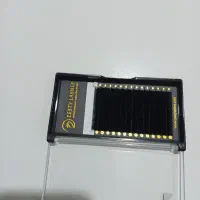 پلت مژه زستی