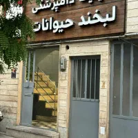 استخدام نیروی خدمات در کلینیک دامپزشکی