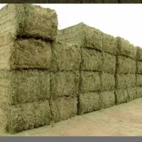 فروش یونجه