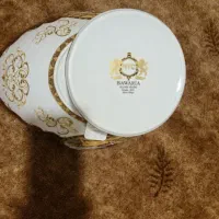 میوه خوری باواریا اندازه بزرگ