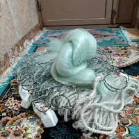 تور ماهیگیری