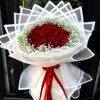 دسته گل رزهلندی فقط 25 و35 تومان