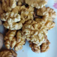 گردو تازه و خشک