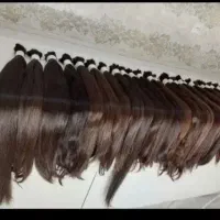 لخت و فرفری