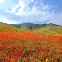 ایونت طبیعت گردی
