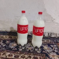 دوغ محلی