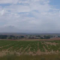 زمین کلنگی