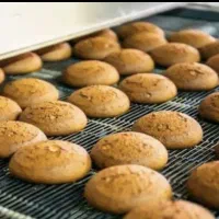 کارخانه بیسکوئیت کیک/کارگرتولید،راننده،موزع،حراست