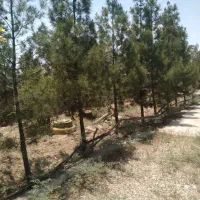 باغچه|فروش خانه و ویلا|کهریزک, |دیوار