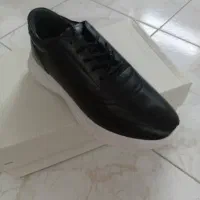کفش چرم