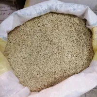 جو محلی