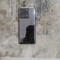 13t