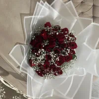 گل رز شاداب هلندی مستقیم از گلخانه شاخه ای ۶۵