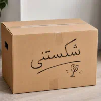 کارتن اسباب کشی
