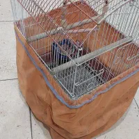 قفس پرنده