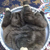 خیگ