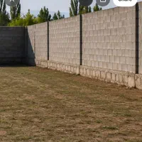زمین|فروش زمین و ملک کلنگی|نکا, |دیوار
