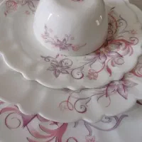 سرویس ۲۵ پارچه آرکوپال برند بلانکا