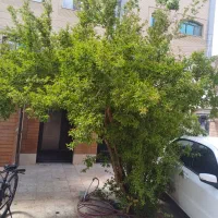 رهن-و-اجاره-کارگاه-و-انبار-تجاری